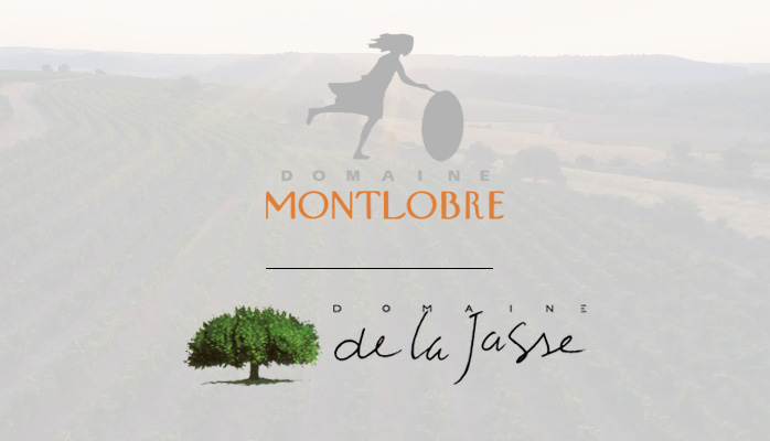 Le séminaire du Lab's c'est des ateliers mais aussi des moments de détente organisés au sein de vignobles reconnus en région : le Domaine de la Jasse et le Domaine de Montlobre